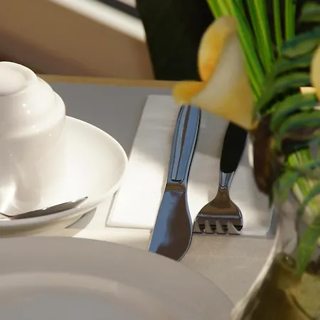 Hotel Euro Friedberg Friedberg (Bavaria)